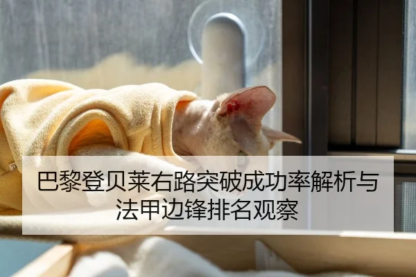 巴黎登贝莱右路突破成功率解析与法甲边锋排名观察